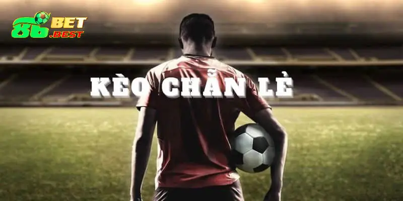 86Bet - Nền tảng cá cược và giải trí đẳng cấp Châu Lục